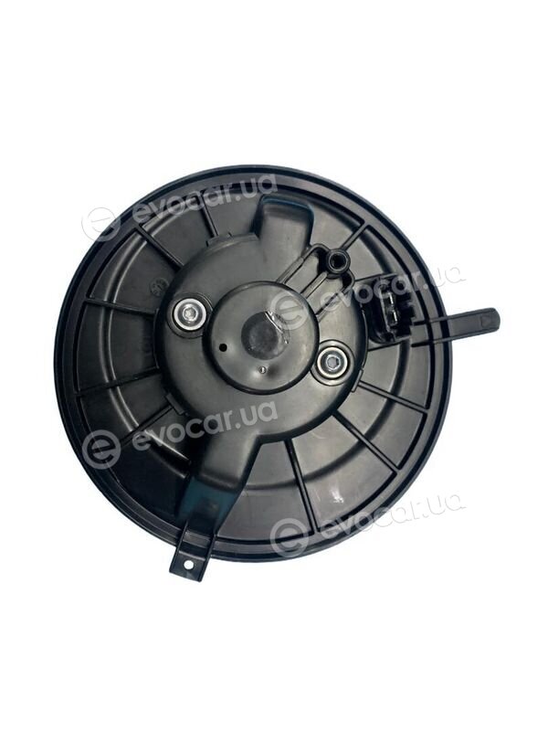 Walker / Fonos WBL01367