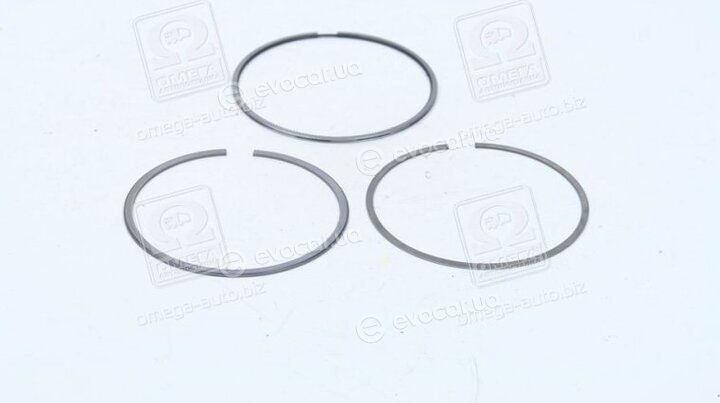 Mahle 030 77 N0