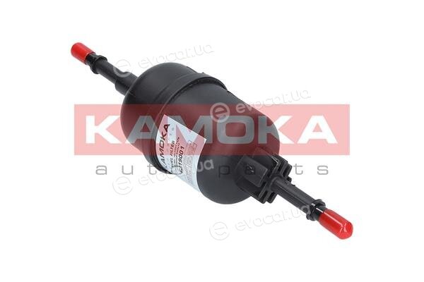 Kamoka F319001