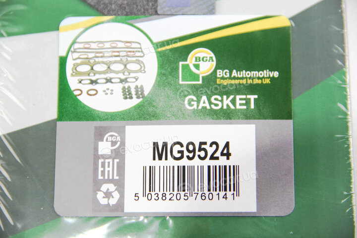 BGA MG9524