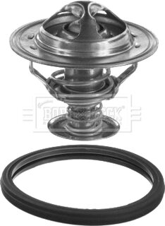Borg & Beck BBT384
