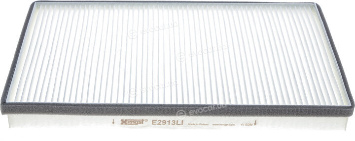 Hengst E2913LI