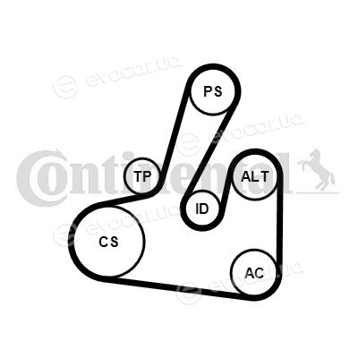 Continental 6PK1705K2