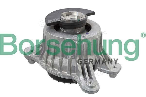 Borsehung B12649