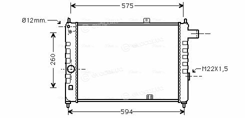 AVA OL2055