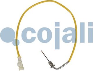 Cojali 2262019