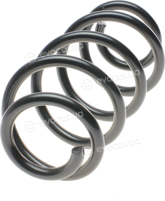 Lesjofors 4004289