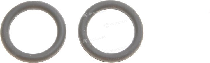 Van Wezel 06002549