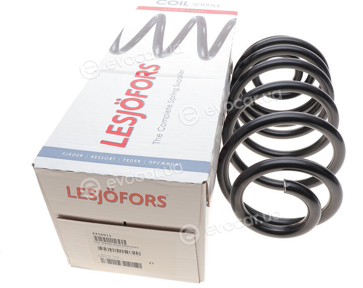 Lesjofors 4256911