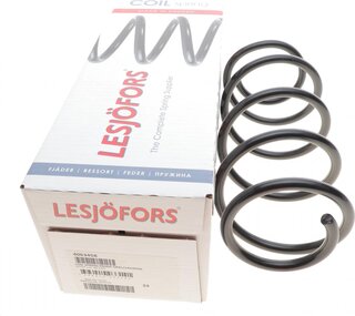 Lesjofors 4063458