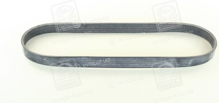 Continental 6PK873 ELAST