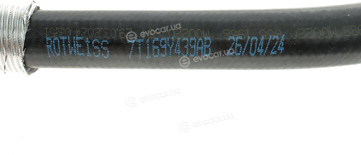 Rotweiss RWS3683