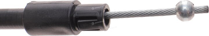 Solgy 219058