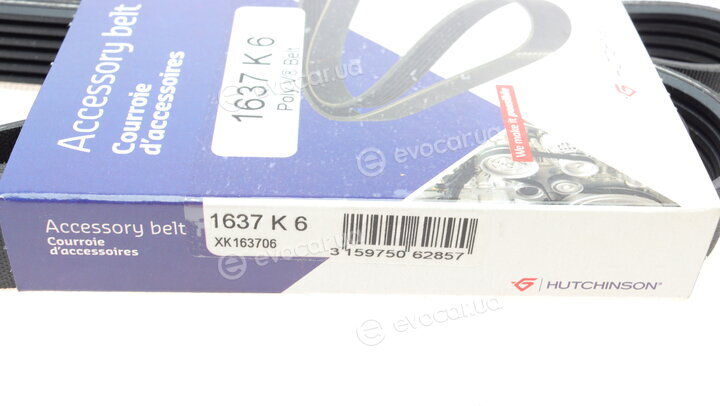 Hutchinson 1637 K 6