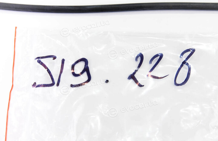 Elring 519.228