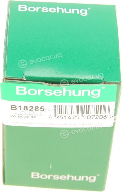 Borsehung B18285