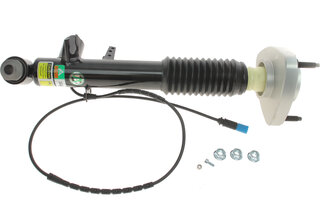 Arnott SK-3817