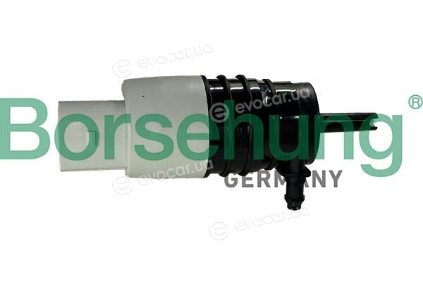 Borsehung B13196