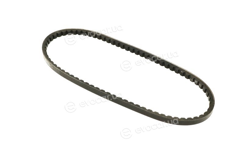 Continental 11,9X772Ld