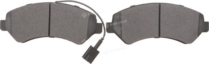 Solgy 209207