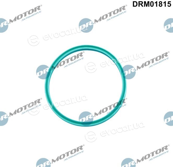 Dr. Motor DRM01815