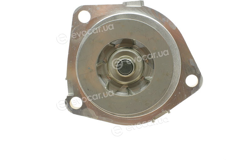 Hepu P1089