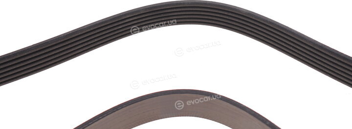 Dayco 6PK1300