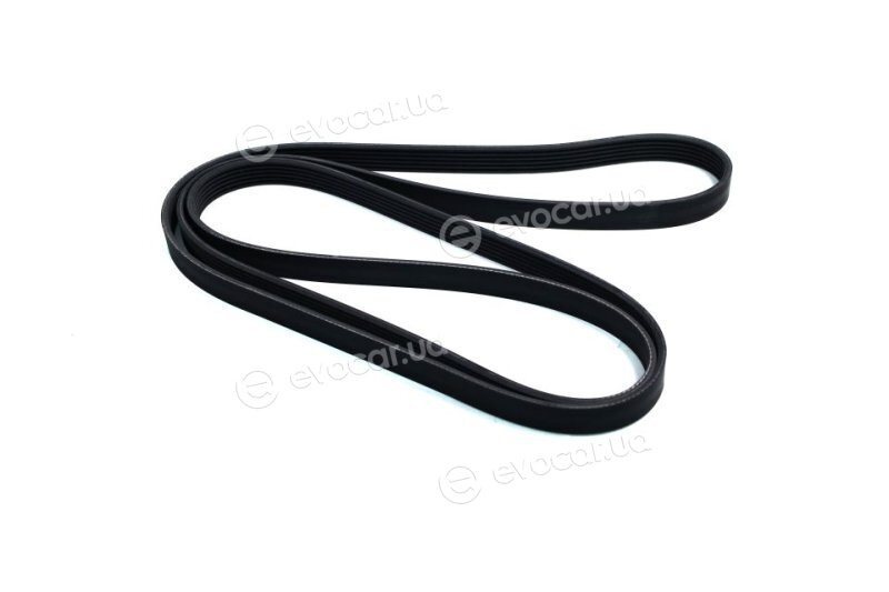 Continental 6PK2415
