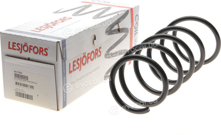 Lesjofors 4017004