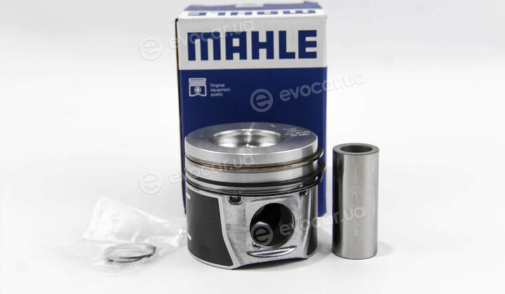 Mahle 016 02 00