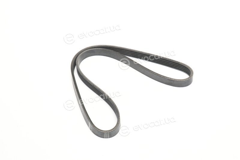 Finwhale BP5PK970