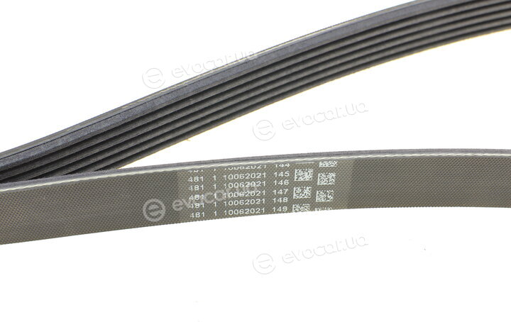 Continental 6PK1822 EXTRA