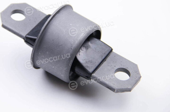 BC Guma 0634