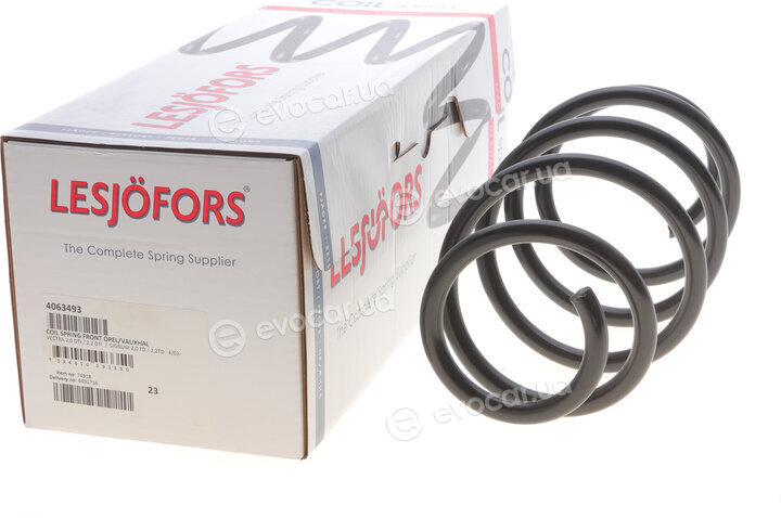 Lesjofors 4063493