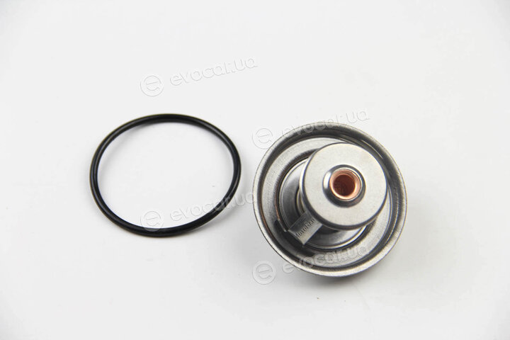 Motorad 247-82K