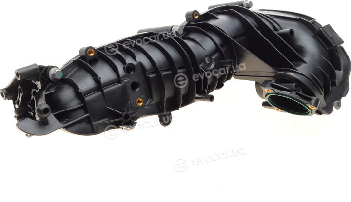 AIC 58313