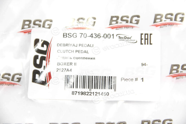 BSG BSG 70-436-001