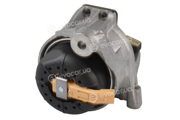 Tedgum TED35933