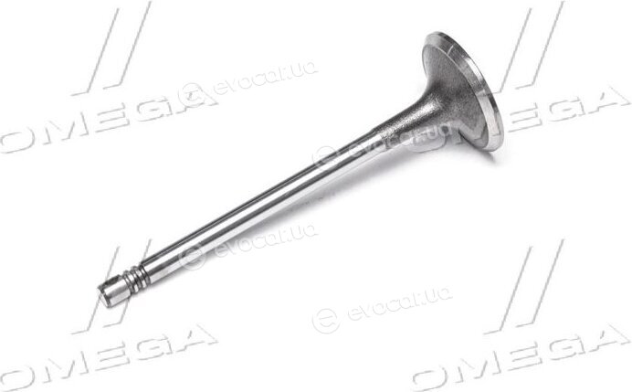 Gunes 4581