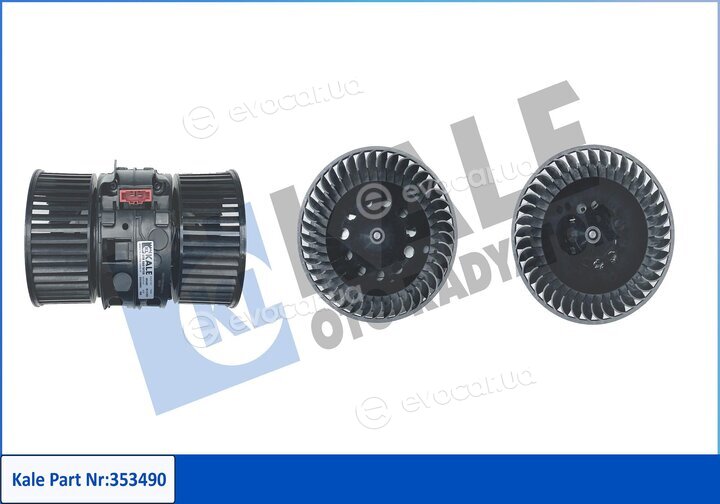 Kale 353490