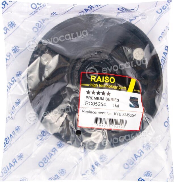 Raiso RC05254