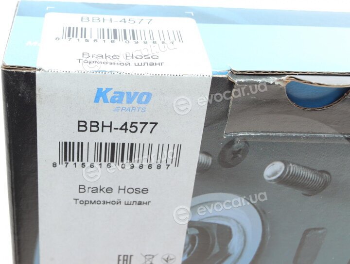 Kavo BBH-4577