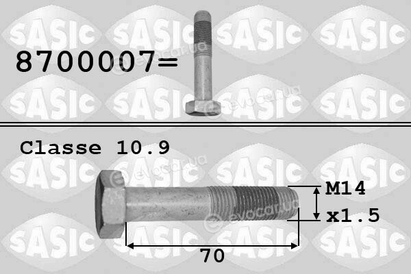 Sasic 8700007