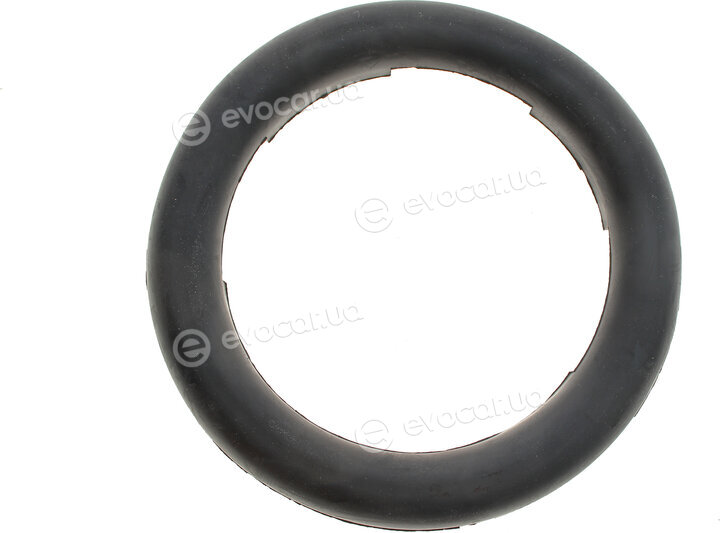 GSP 538959