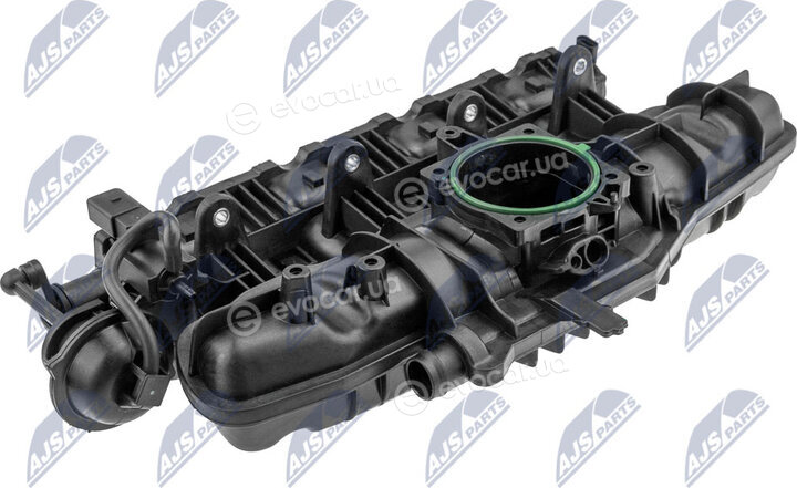 NTY BKS-VW-018