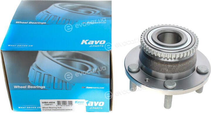 Kavo WBH-4504