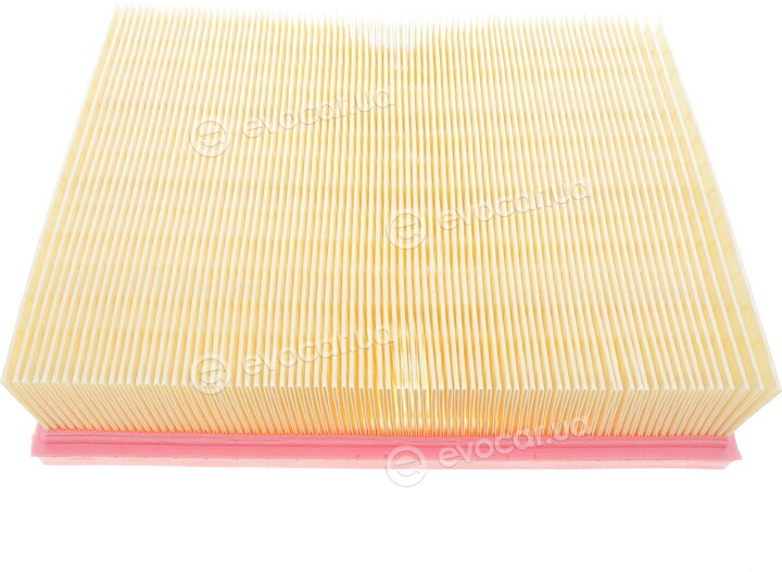 Solgy 103106