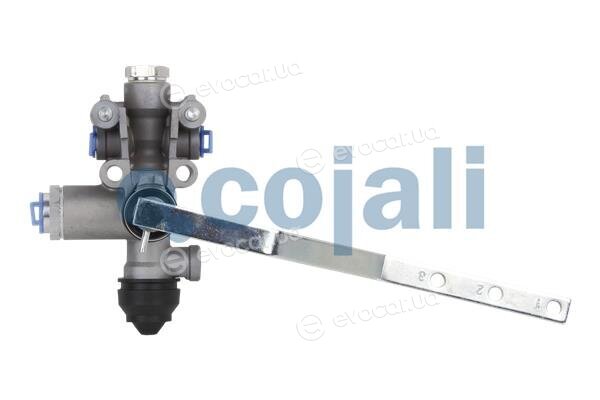 Cojali 2314319