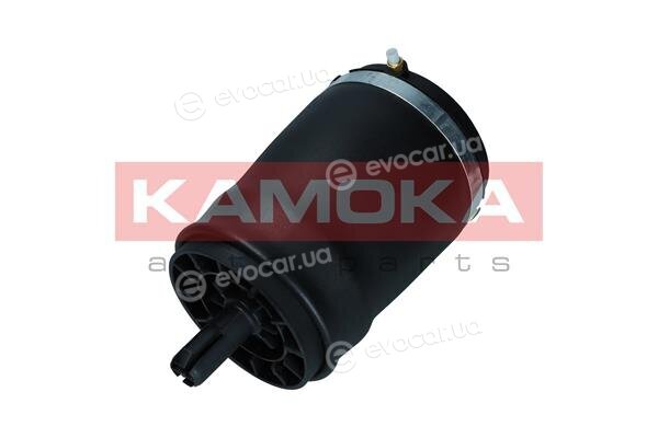 Kamoka 2079031