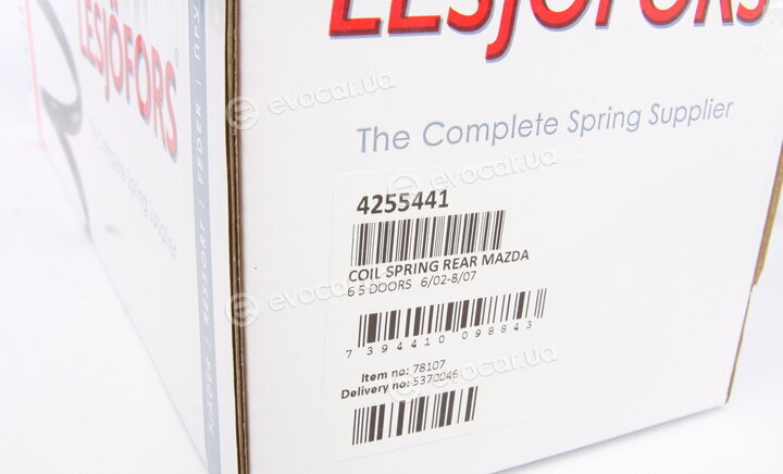 Lesjofors 4255441